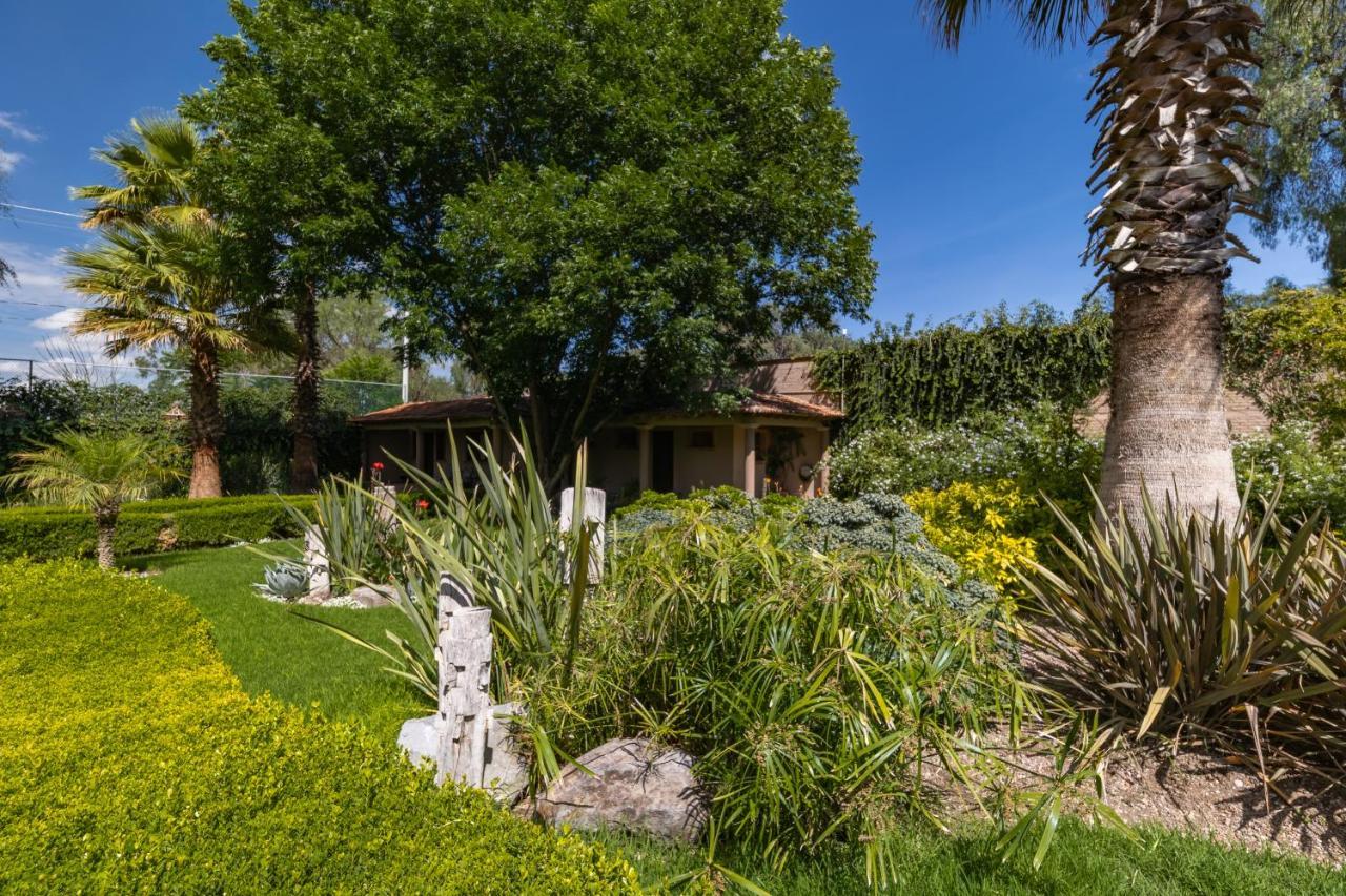 Casa Las Palmas, San Miguel De Allende Cieneguita Eksteriør bilde