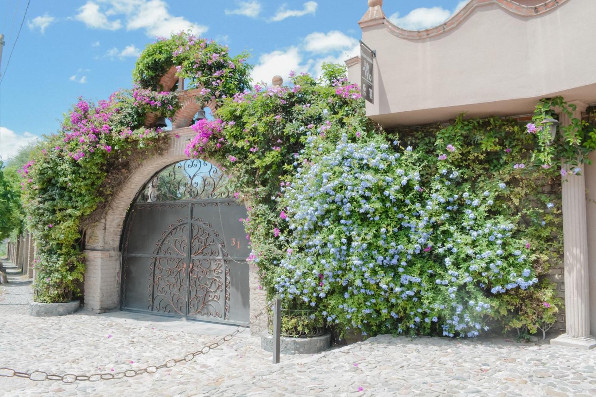Casa Las Palmas, San Miguel De Allende Cieneguita Eksteriør bilde